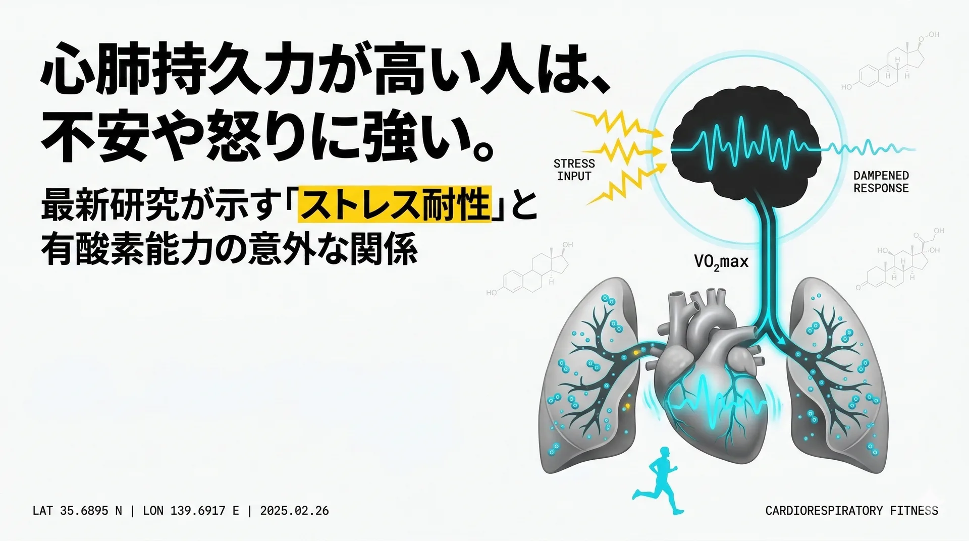 心肺持久力が高い人は不安や怒りに強い？最新研究が示すストレス耐性との関係