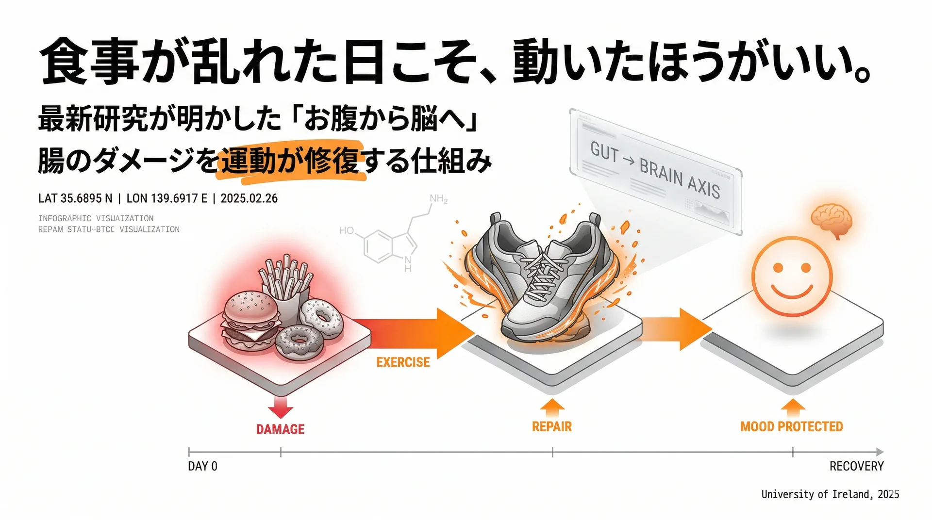 食事が乱れた日こそ運動すべき理由。最新研究が明かした「お腹→脳」のつながり