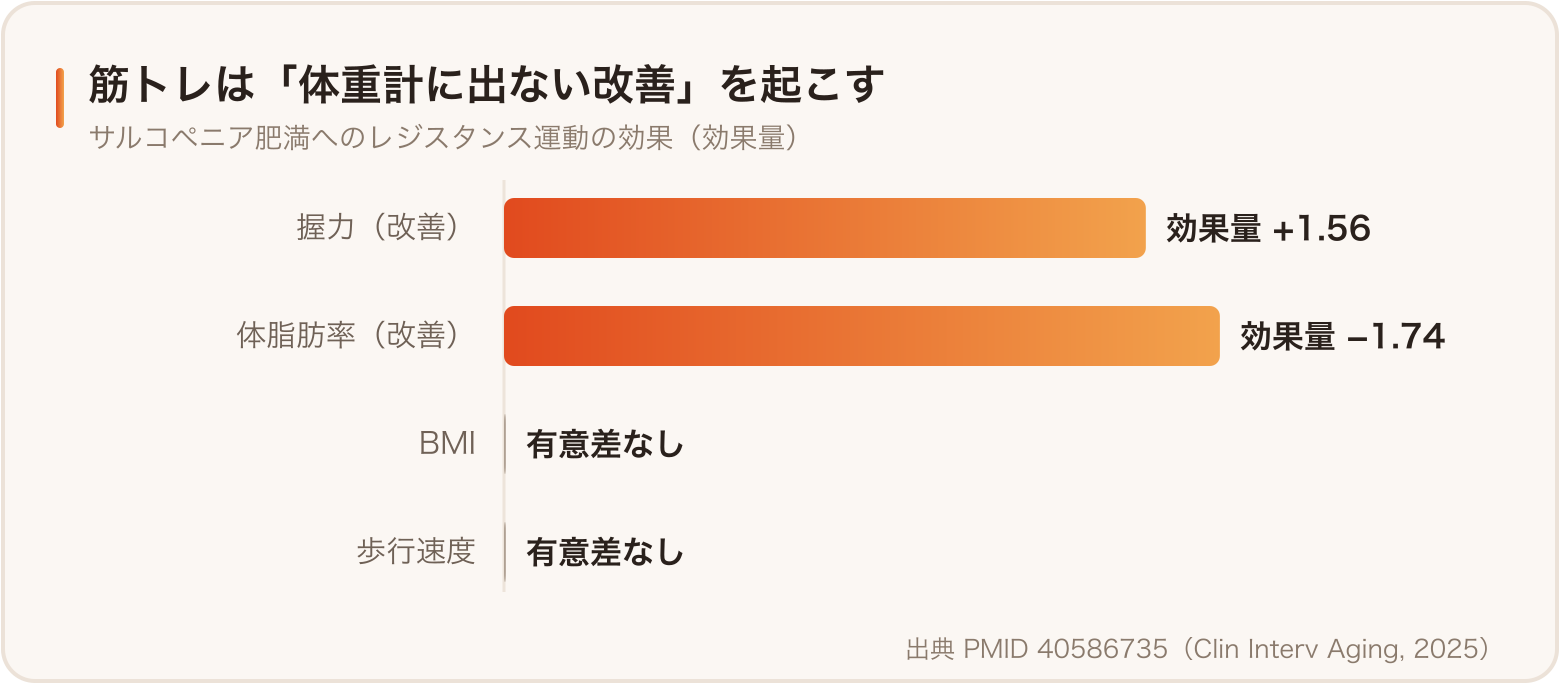 レジスタンス運動の効果。握力と体脂肪率は改善、BMIは不変