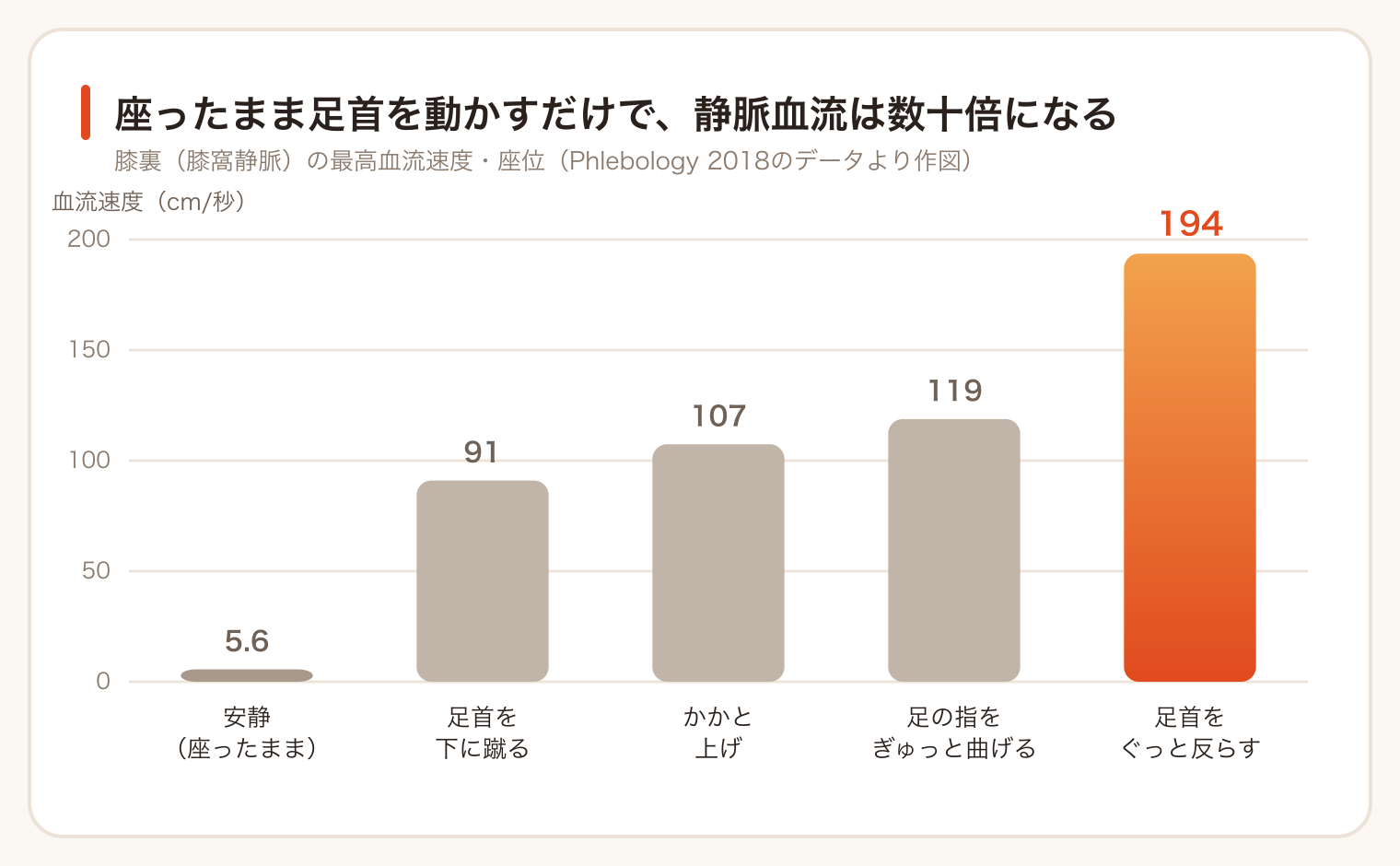 足首の運動と静脈血流速度の変化