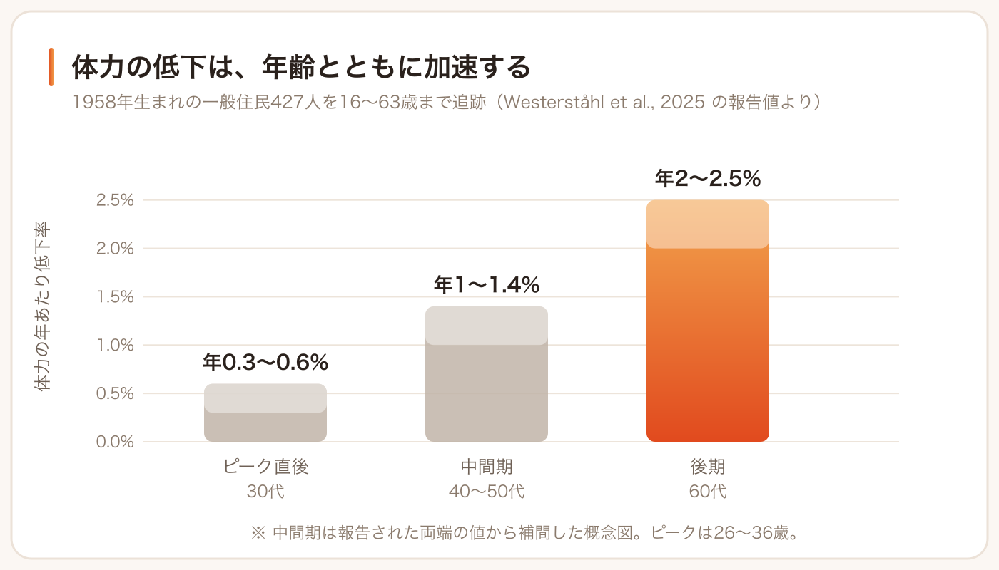 体力の低下率は年齢とともに加速する