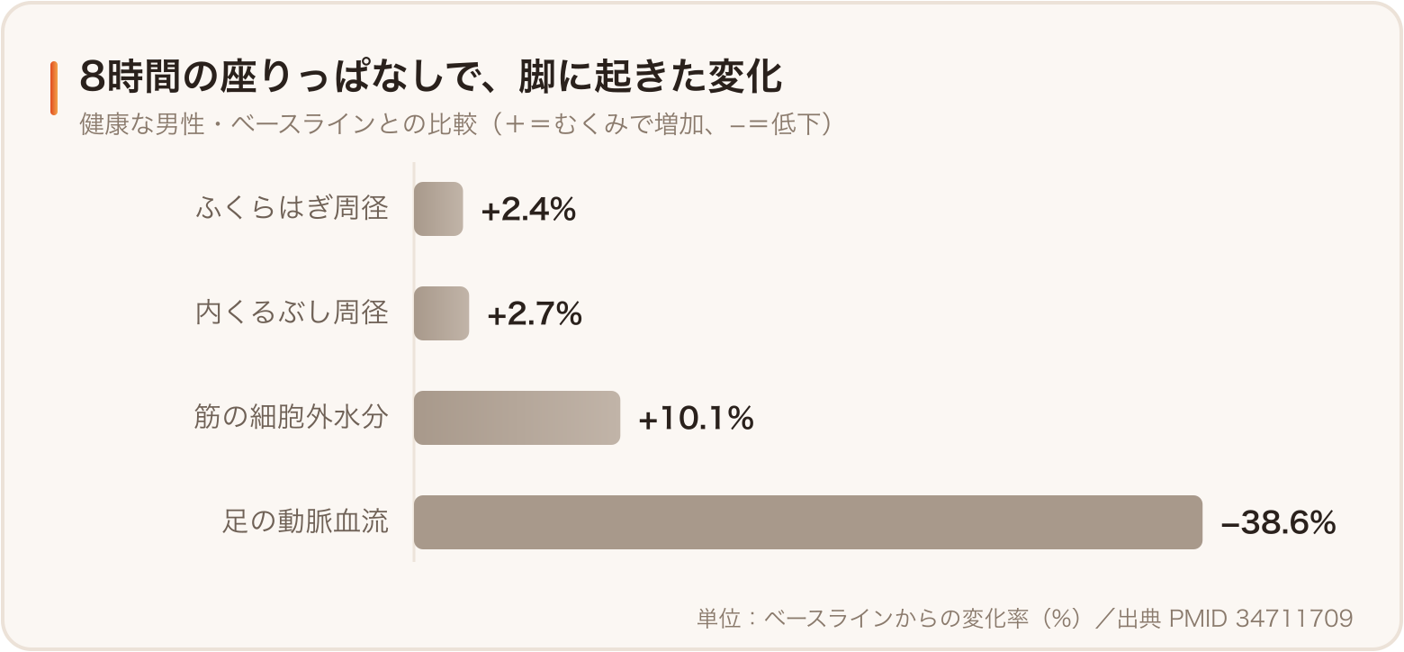 8時間の座りっぱなしで下肢に起きた変化。周径増加と血流低下