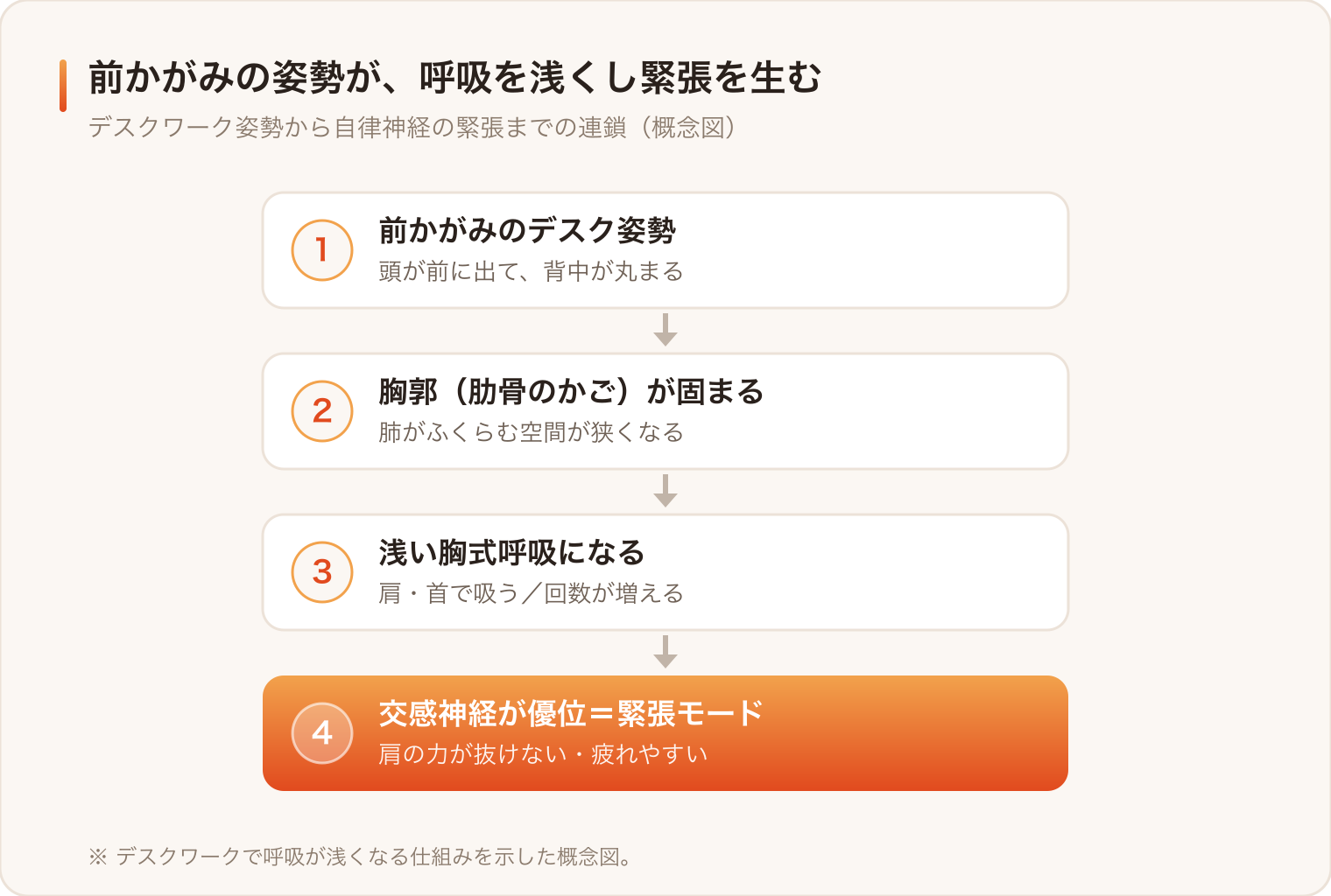 前かがみのデスク姿勢が胸郭を固め、呼吸を浅くし、自律神経を緊張側へ傾ける連鎖(概念図)